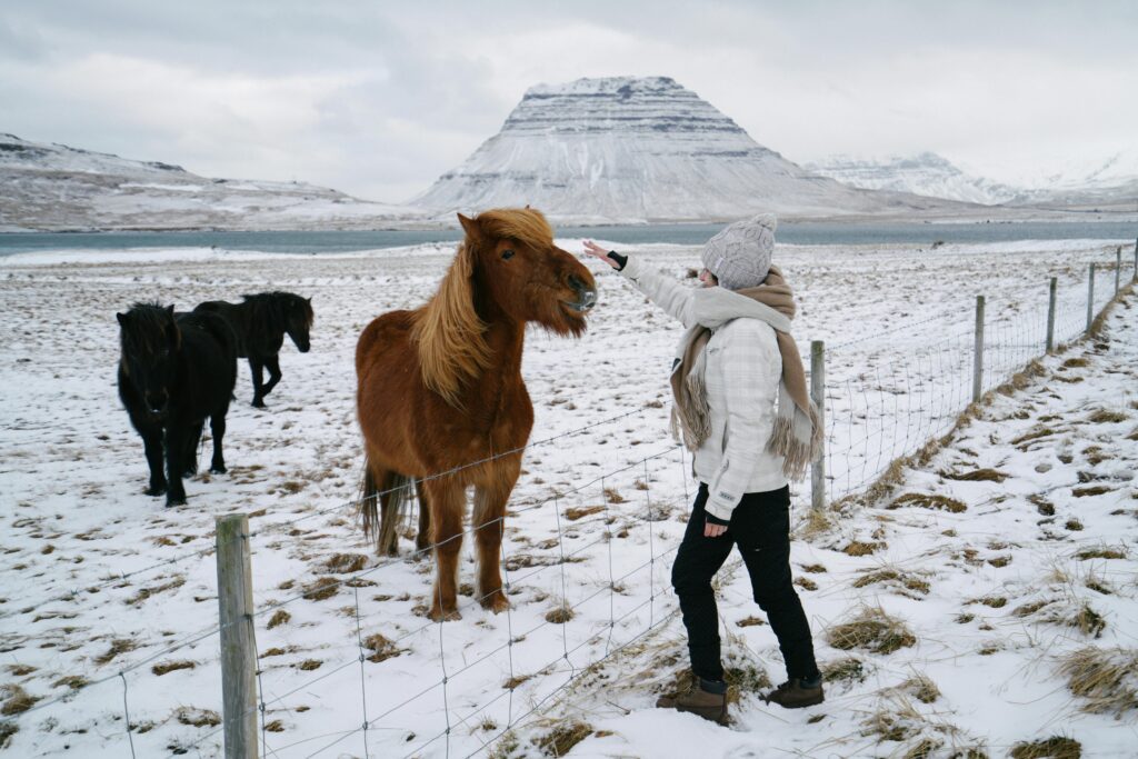 Vacation in Iceland